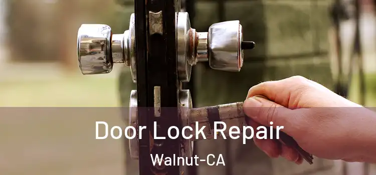 Door Lock Repair Walnut-CA