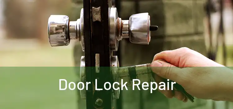Door Lock Repair