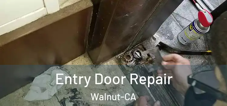  Entry Door Repair Walnut-CA