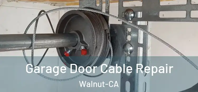  Garage Door Cable Repair Walnut-CA