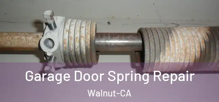  Garage Door Spring Repair Walnut-CA