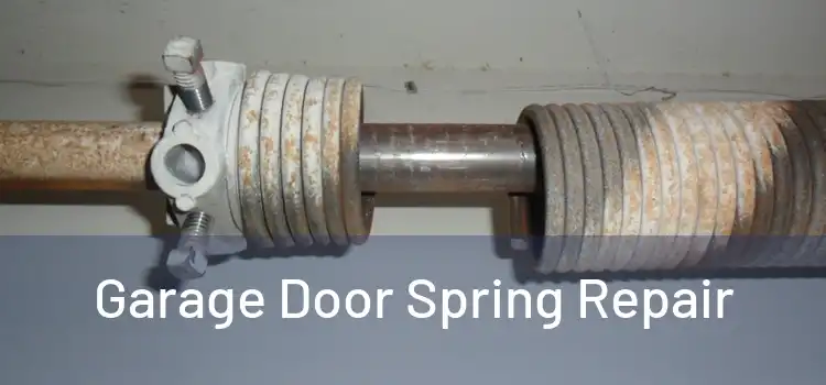  Garage Door Spring Repair 