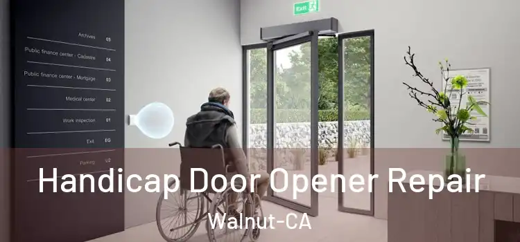  Handicap Door Opener Repair Walnut-CA