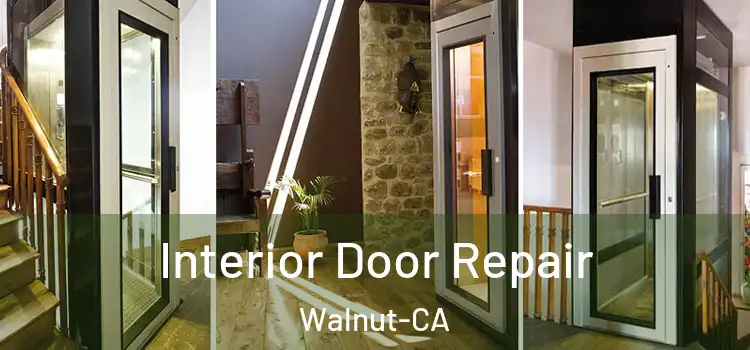Interior Door Repair Walnut-CA
