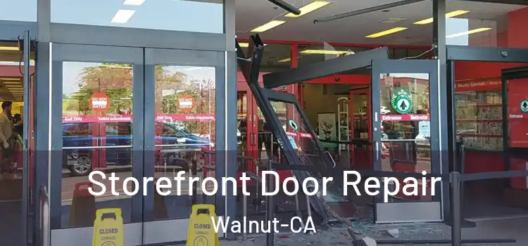 Storefront Door Repair Walnut-CA